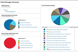 SOLARWINDS Patch Manager